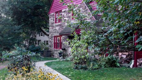 A Rain Garden That Even the Neighbors Seem to Like