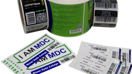 Consecutive Number and Variable Labels