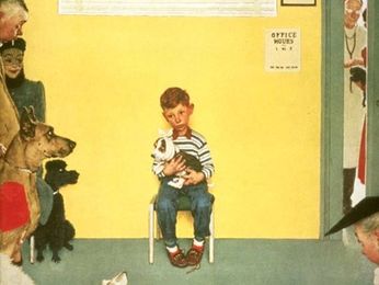 Don't Commit These Fails in the Veterinary Clinic Waiting Room