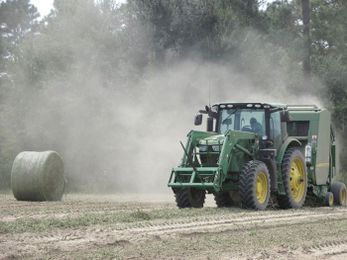 Peanut hay: A few things to remember this harvest