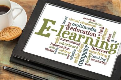 Top 5 Reasons To Have A Customizable eLearning System