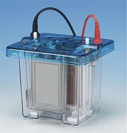 5 Forensic Supplies to Keep Samples Safe