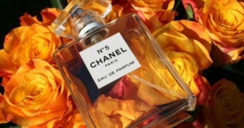7 Chanel Perfumes to Definitely Try ...