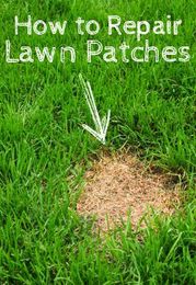 How To Repair Lawn Patches