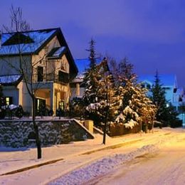 Add Insulation To Your Attic For A Pest Free Home