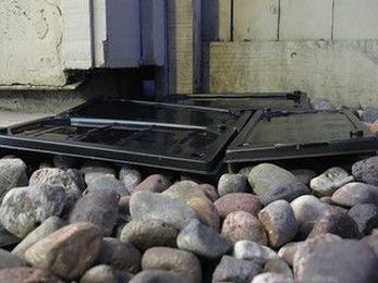 Using Mouse Glue Traps at High Temperatures