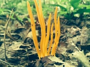 Are your yin & yang out of balance?