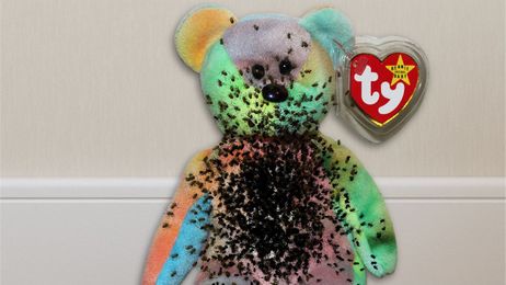 ’90s Kids Rejoice! The Spider Eggs They Used To Fill Beanie Babies Are Finally Hatching!