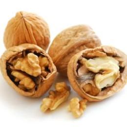 Walnut-enriched diet slows Alzheimer's progression in mice