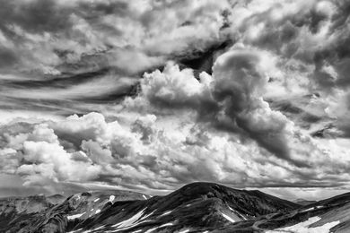 When Color Doesn’t Cut It by Lee Hoy