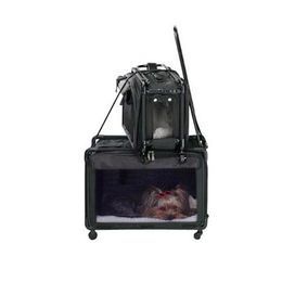 Airline Approved Pet Carrier Tutto Pet on Wheels