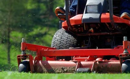 Construction Bearings: Not Your Garden-Variety