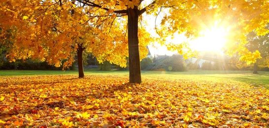 Time to Change Your Clocks... and Change Your Lights!