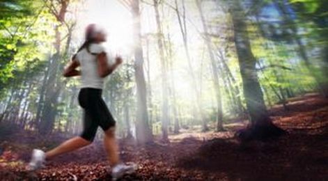 Scientists of the University of Calgary Study Running Shoes