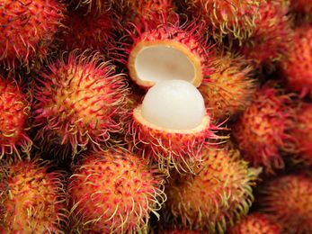 11 Rare and Unusual Fruits You Can't Find at Home