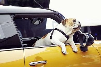 10 Reasons To Drive A Mini Cooper