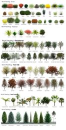 Very helpful in choosing plants for landscaping