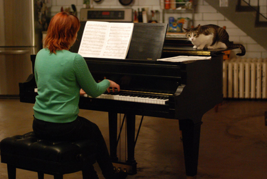 What I’ve learned from taking piano lessons as an adult