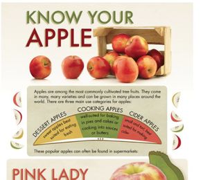 Know Your Apple [Infographic]