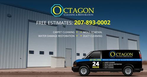 Three Steps to Properly Remove Mold From Your Home or Business