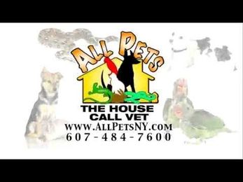All Pets Commercial Senior