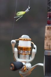 What Fishing Line Should You Be Fishing