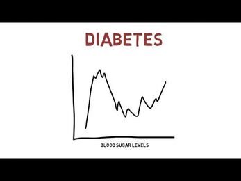 Diabetes and Your Pet