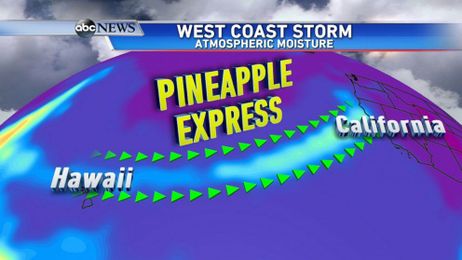 What You Need to Know About the Surging Pineapple Express 