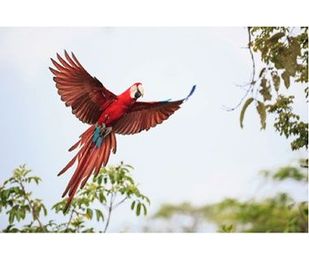 Take Your Photography To The Next Level