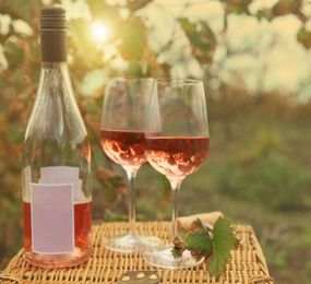What You Don’t Know About Rosé Wines
