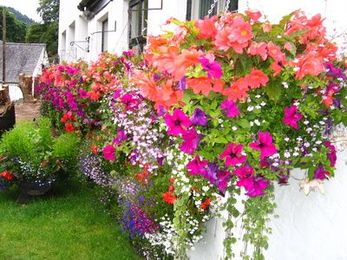 Cheap House Remodeling Ideas