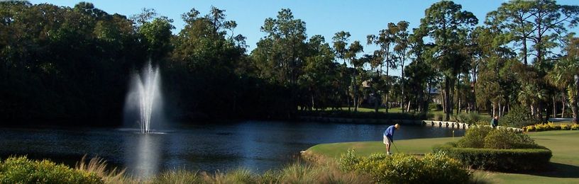 Holganix Case Studies: "I love Holganix!"