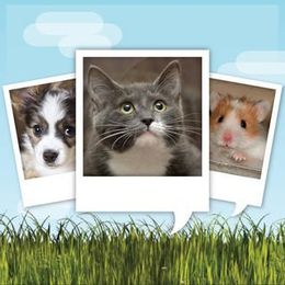 My Talking Pet on the App Store