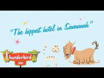 Thunderbird Inn's Pet Friendly Savannah Georgia Travel Video