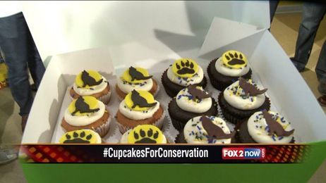 Eat cupcakes to help wolf conservation