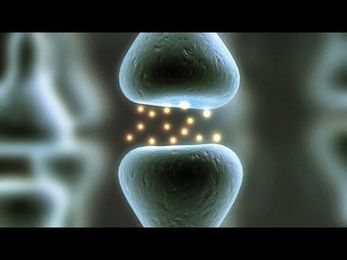 Carol Dweck: The Power of Believing That You Can Improve