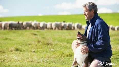 What do you look for in a pastor?