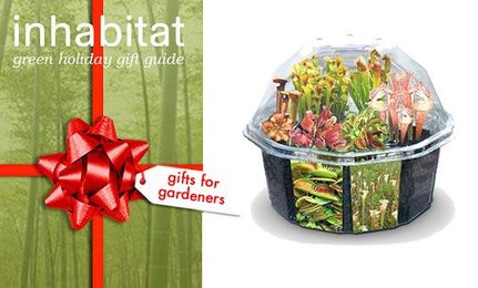 20 Verdant gift ideas for the green thumb