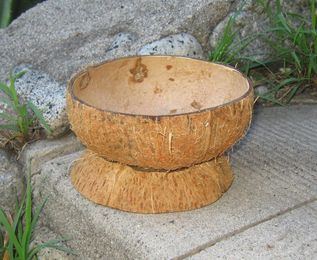 How to Make a Coconut Shell Bowl