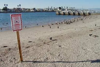 Stanford study shows ways to improve public health at beaches 