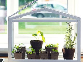 5 Totally Chic Ways to Grow Fresh Produce