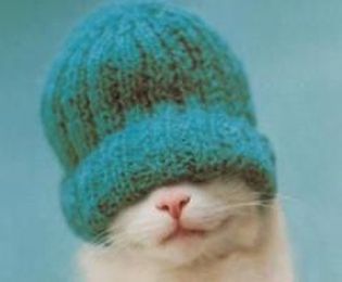 Who Knew a Hat Could Save a Life?