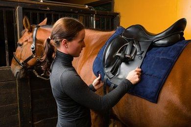 Studying the Rider-Saddle-Horse Interface