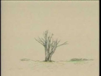 "Whosoever plants a tree" a poem by Felix Dennis