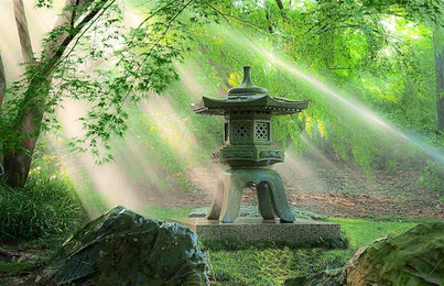 Japanese gardens: A space to commune with nature