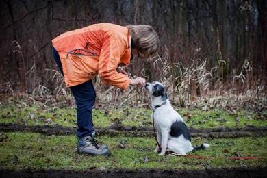 Psychological effects of pets are profound