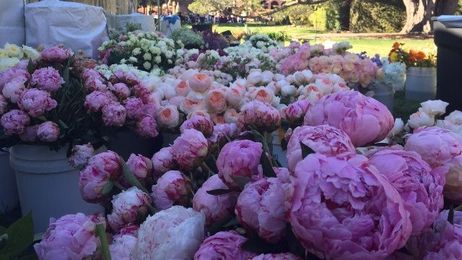 Florists Learn Techniques at 'Inspirational Design' Event