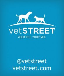Spaying or Neutering Your Pet