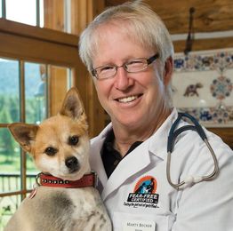 Win a veterinary practice transformation from me and my team!