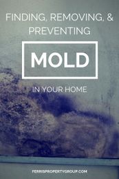 Finding, Removing, and Preventing Mold in Your Home